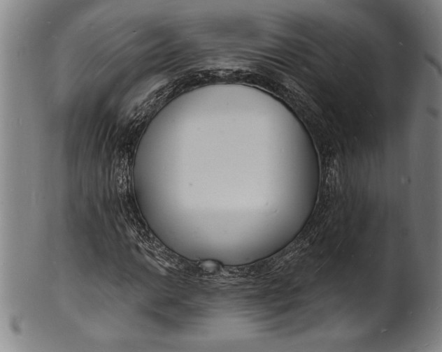 X0000102221014200808081312