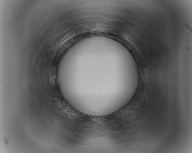 X0000102221015200808081312