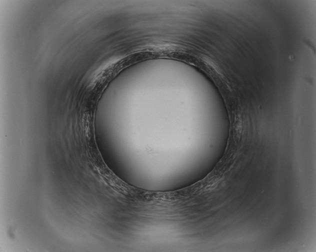 X0000102221016200808081312