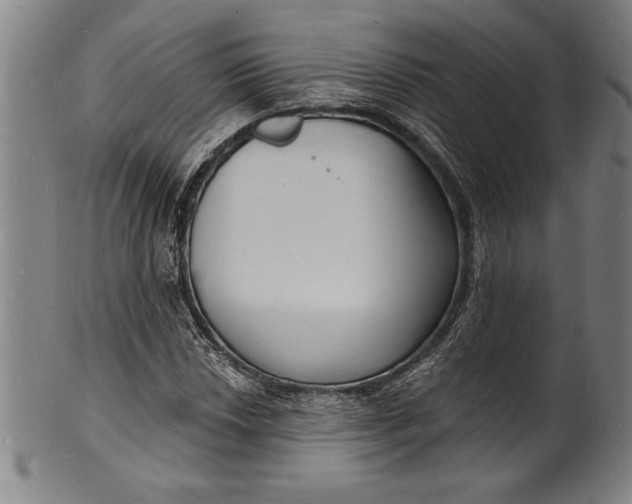 X0000102221018200808081312