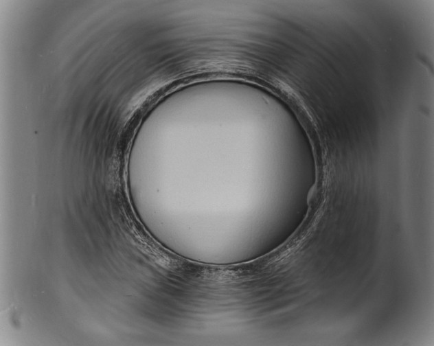 X0000102221019200808081312