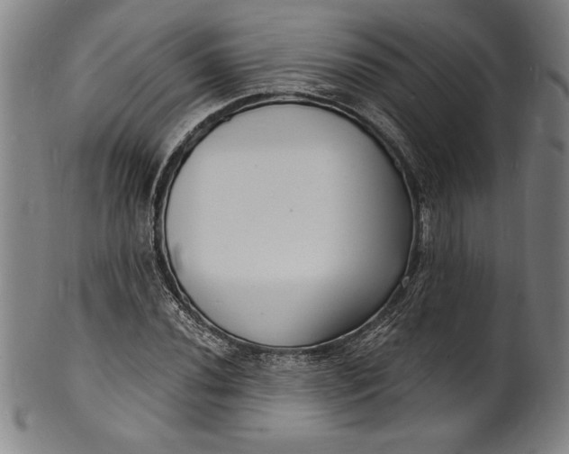 X0000102221020200808081312