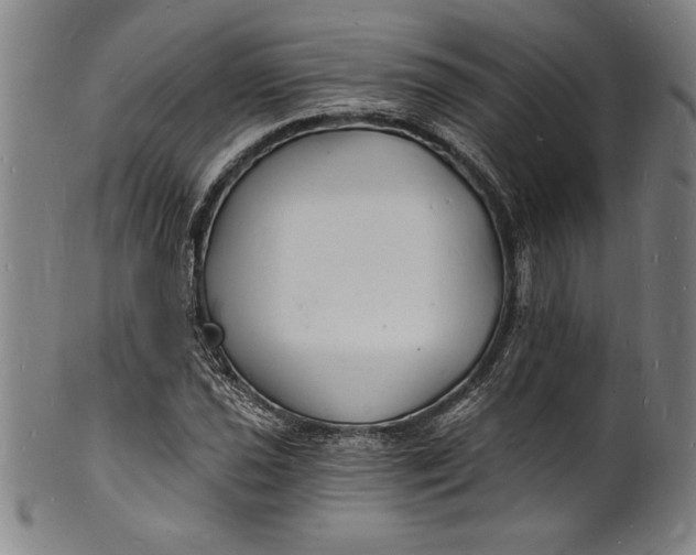 X0000102221021200808081312