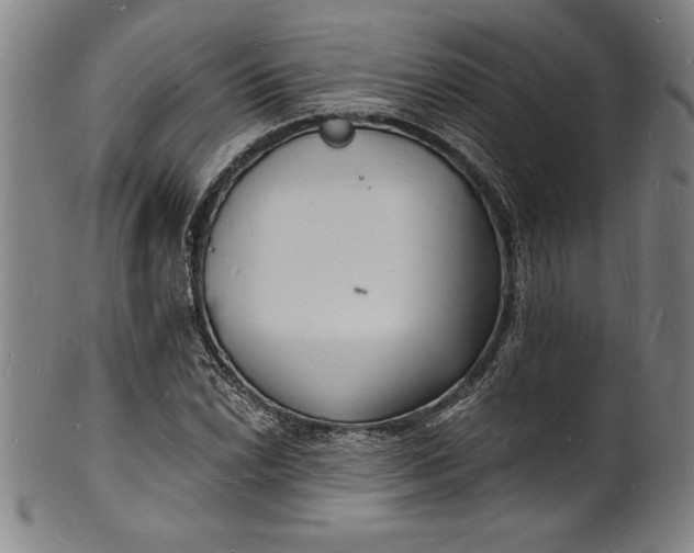 X0000102221022200808081312