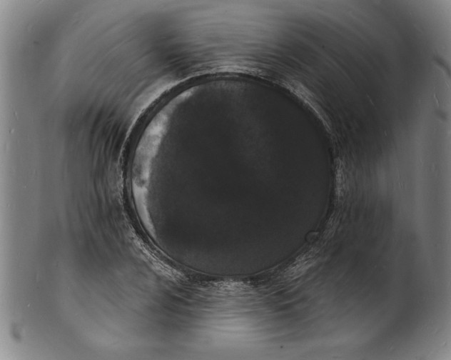 X0000102221024200808081312