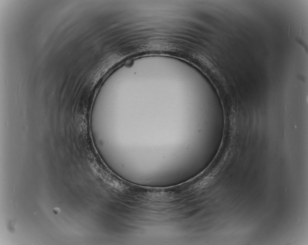 X0000102221025200808081312