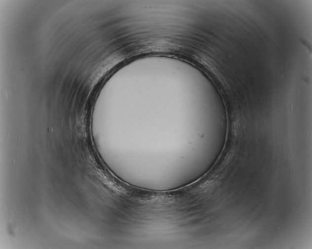 X0000102221026200808081312