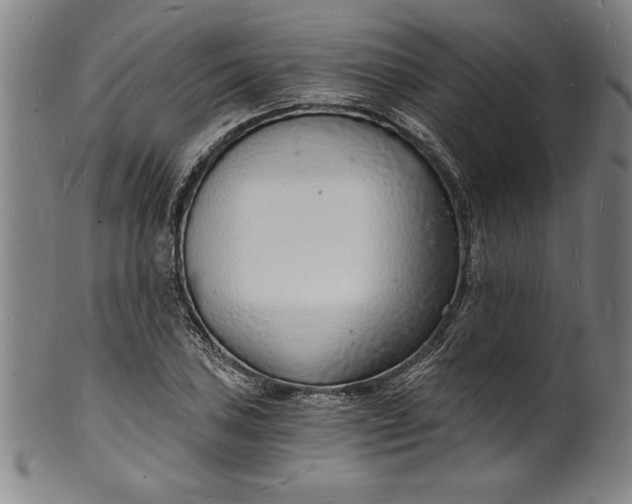 X0000102221027200808081312