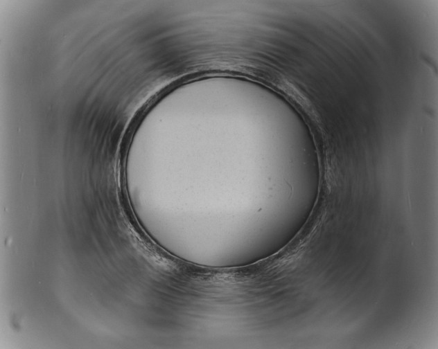 X0000102221028200808081312