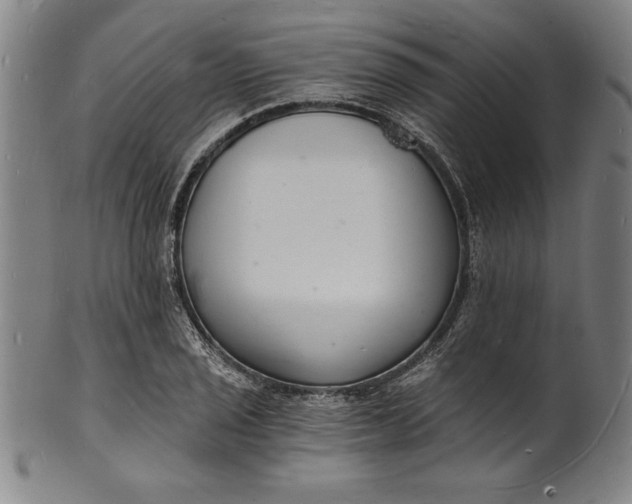 X0000102221029200808081312