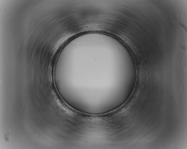 X0000102221030200808081312