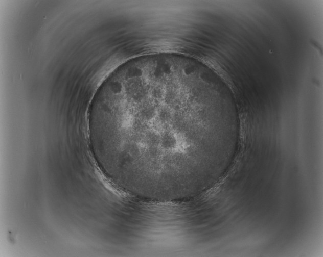 X0000102221031200808081312