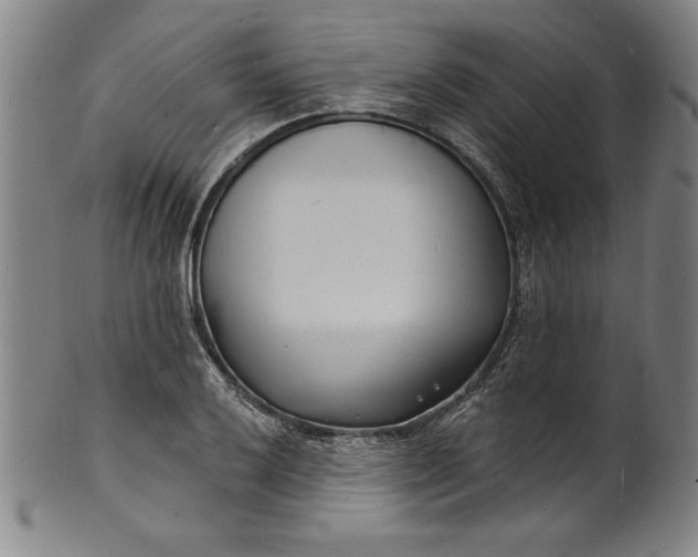 X0000102221032200808081312