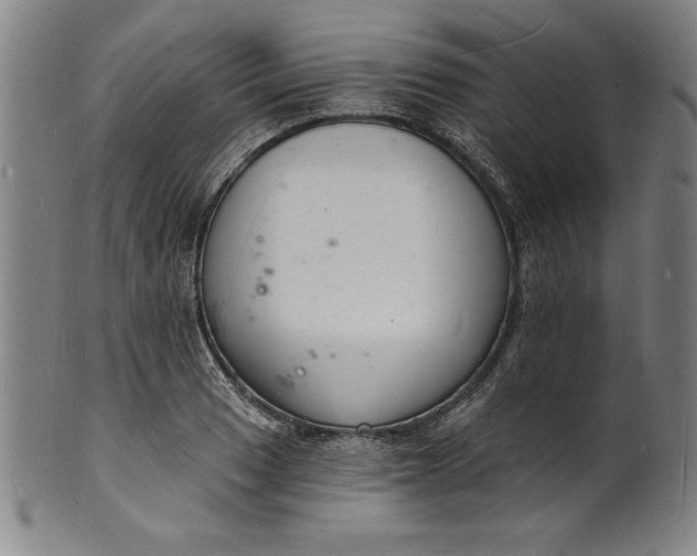 X0000102221033200808081312