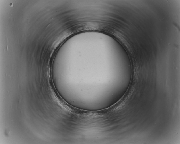 X0000102221034200808081312