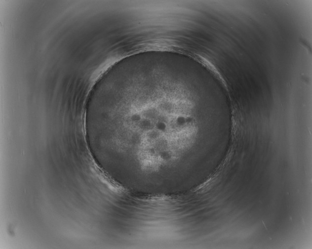 X0000102221035200808081312