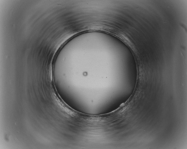 X0000102221036200808081312