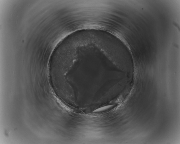 X0000102221037200808081312