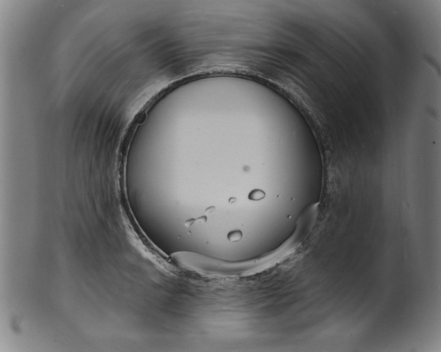 X0000102221038200808081312