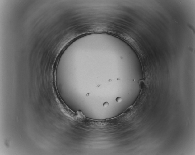 X0000102221039200808081312