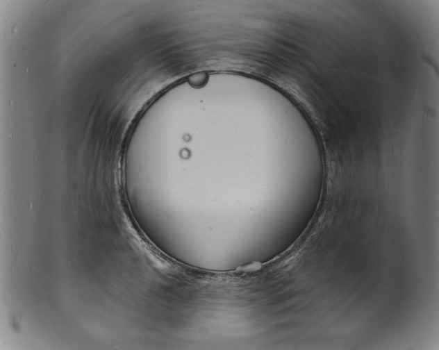 X0000102221040200808081312