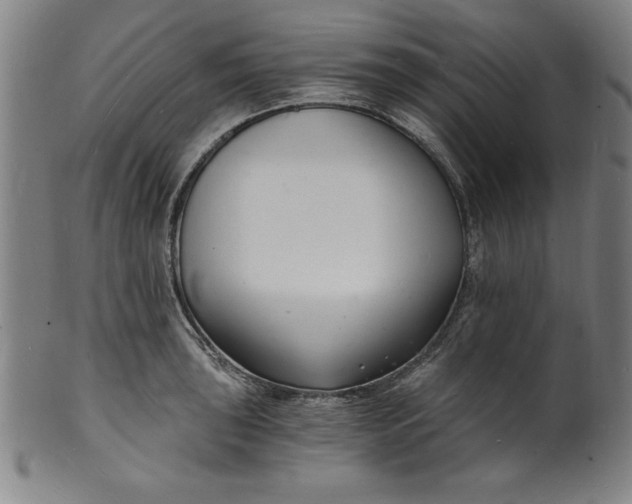 X0000102221043200808081312