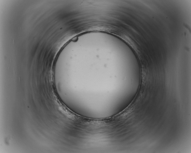 X0000102221044200808081312