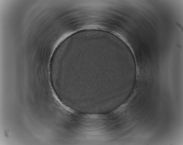 X0000102221045200808081312