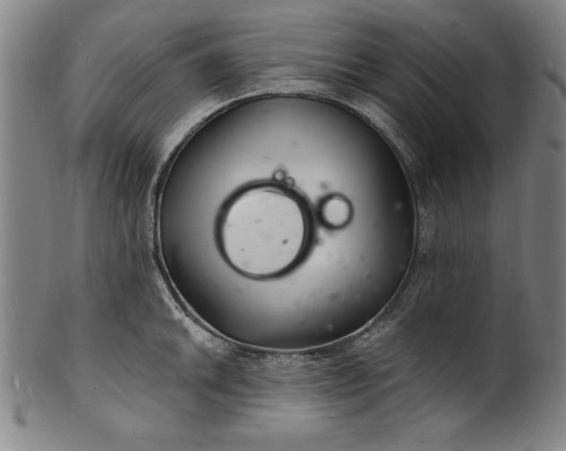 X0000102221046200808081312