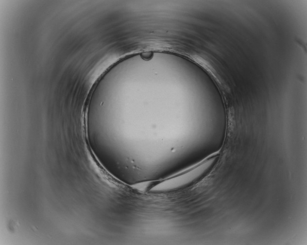 X0000102221047200808081312