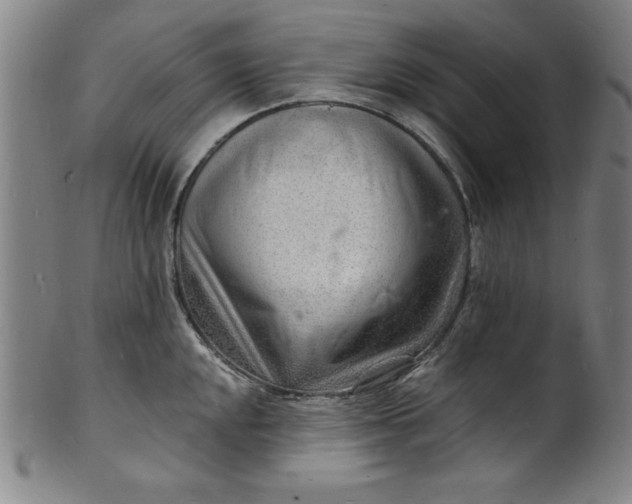 X0000102221048200808081312