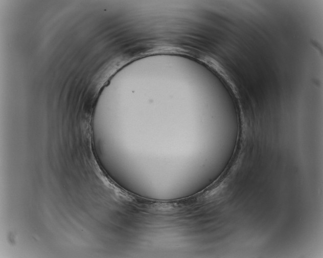 X0000102221049200808081312