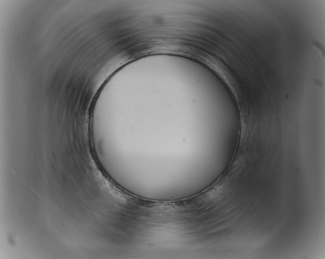 X0000102221050200808081312