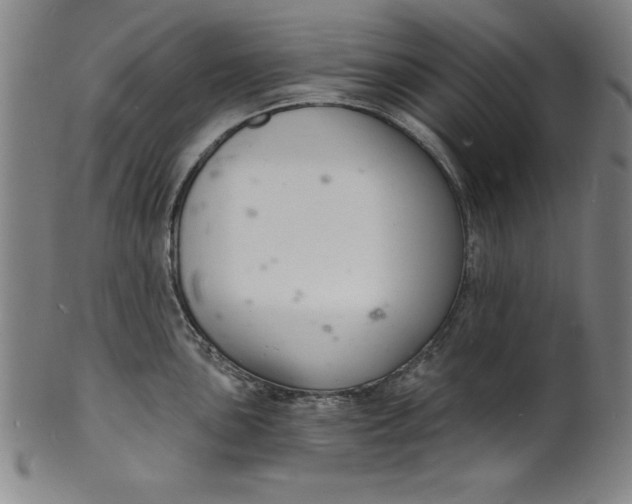 X0000102221051200808081312