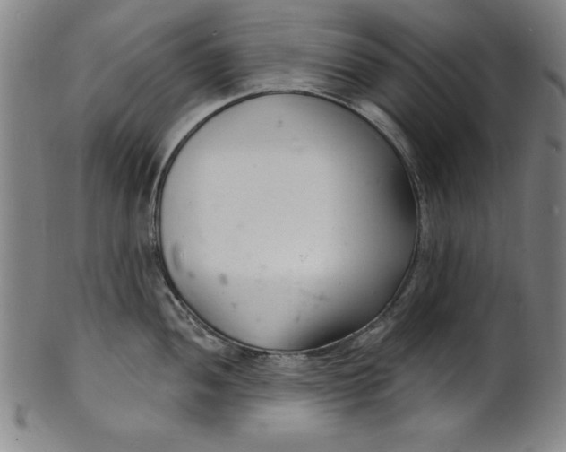 X0000102221052200808081312