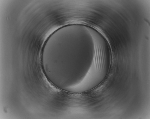 X0000102221053200808081312