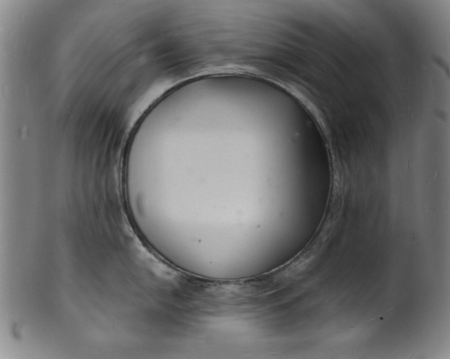 X0000102221054200808081312