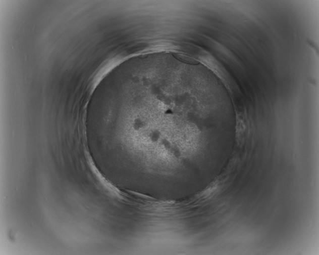 X0000102221055200808081312