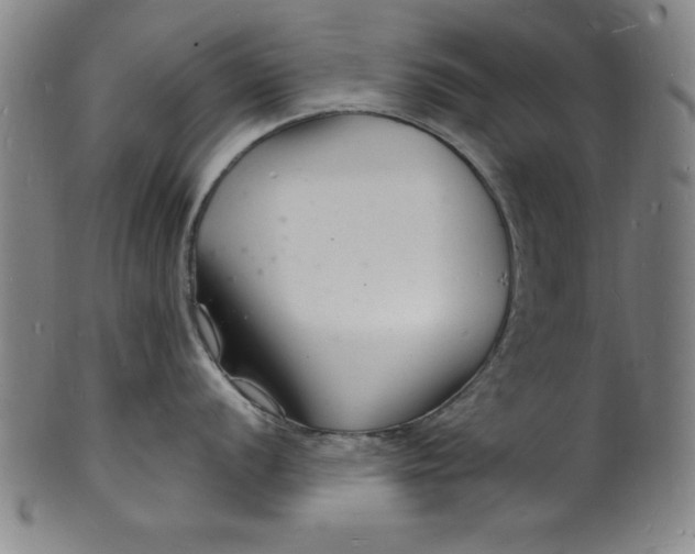 X0000102221056200808081312