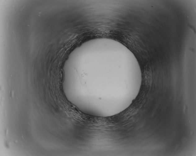 X0000102221057200808081312