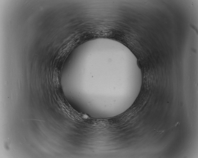 X0000102221058200808081312