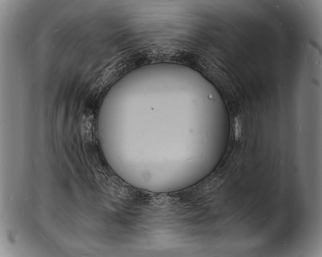 X0000102221059200808081312