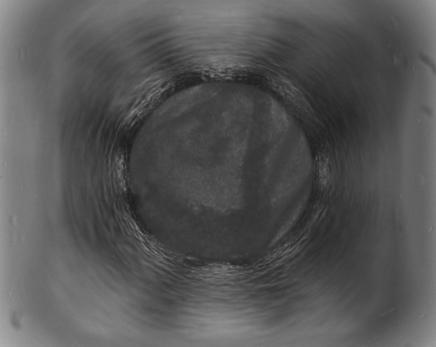 X0000102221060200808081312