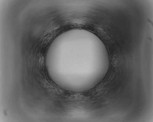 X0000102221061200808081312