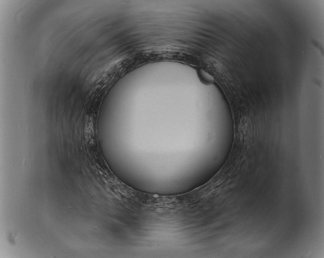 X0000102221062200808081312