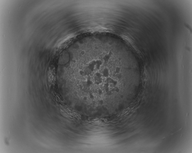 X0000102221063200808081312