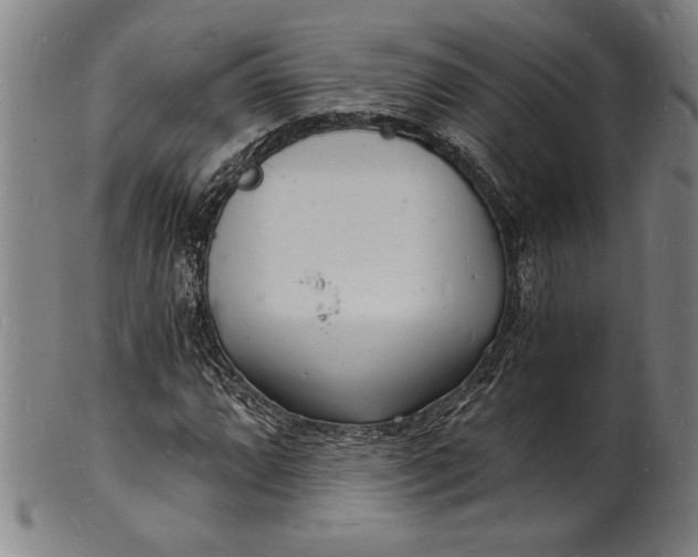 X0000102221064200808081312