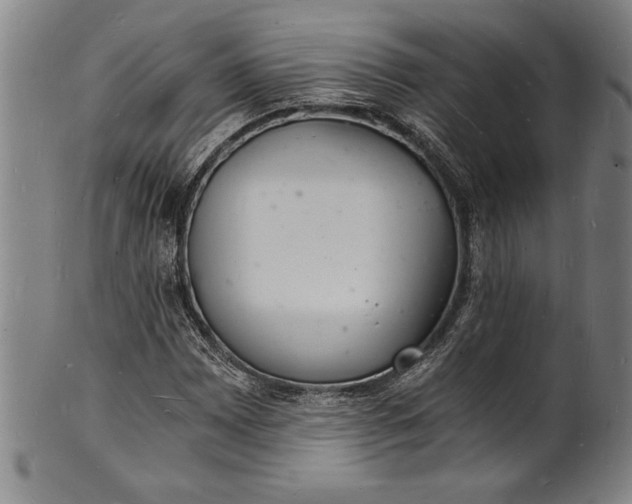 X0000102221065200808081312