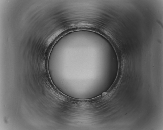 X0000102221066200808081312