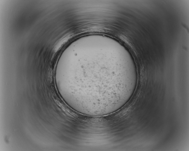 X0000102221067200808081312